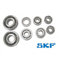 SET Kugellager SKF - für Motor EM250, 251, 301 - 8-teilig