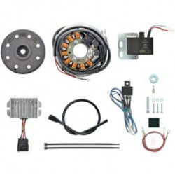 Lichtmagnetzündanlage 12V 100W DC - passend für Maico 200 + 250B - Blizzard und Bundeswehr