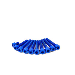 Schraubenset Blau (dunkel)